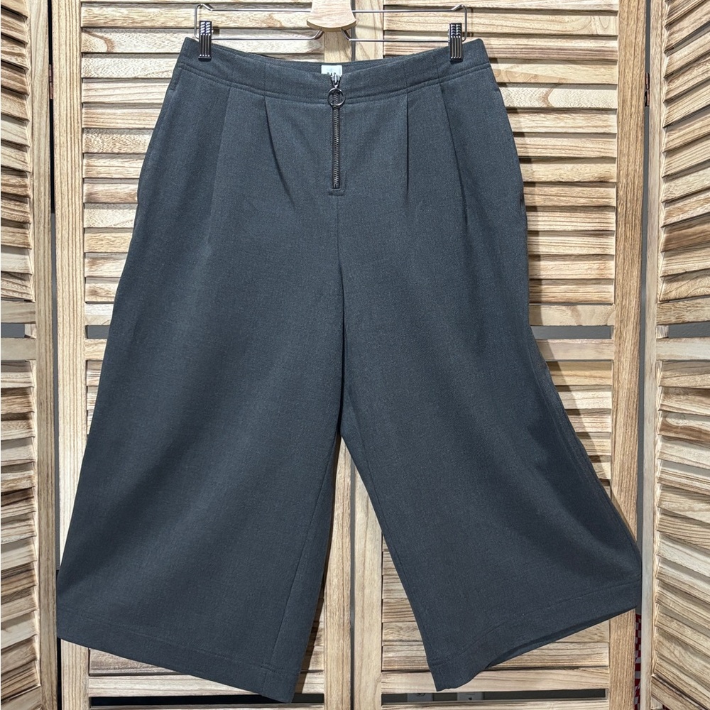 GAP Retro High Rise Wide Leg Crop Pants Charcoal Gray Pleated O-Ring Zip 12